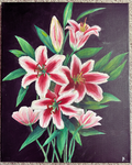 Lillies