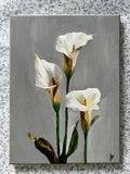 Calla Lillies